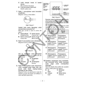 Aspirasi Praktis Topikal ( Tingkatan 3 - 8 Subjek ) - Secondary / Sekolah Menengah