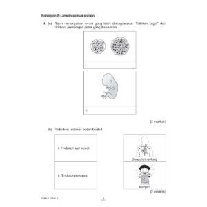 INTERVENSI UASA (2023) SAINS (THN 1-6)