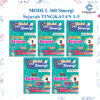 MODUL 360 Sinergi Sejarah  ( TINGKATAN 1-5 )