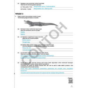 Proaktif ( Tingkatan 2 - 5 Subjek ) - Secondary / Sekolah Menengah