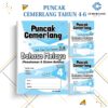 PUNCAK CEMERLANG UASA BM PEMAHAMAN & SISTEM BAHASA (THN 4-6) [KSSR]