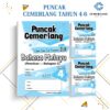 PUNCAK CEMERLANG UASA BM PENULISAN (BAHAGIAN C) THN 4-6 [KSSR]