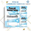 PUNCAK CEMERLANG UASA MATEMATIK THN 4-6 [KSSR]