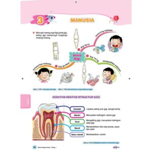 Riang Ria Belajar Sains Tahap 1 ( Tahun 1,2,3 ) - Primary / Sekolah Rendah