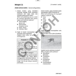 UASA Kertas Model ( Tahun 5 - 5 Subjek ) - Primary / Sekolah Rendah