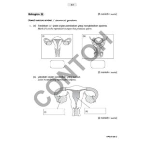 UASA Kertas Model ( Tahun 5 - 5 Subjek ) - Primary / Sekolah Rendah