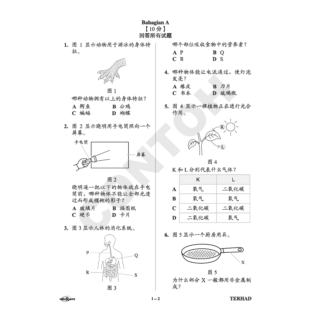 【最新MPT4】SPOT ON 精准学习矩阵模拟评估-科学 4年级